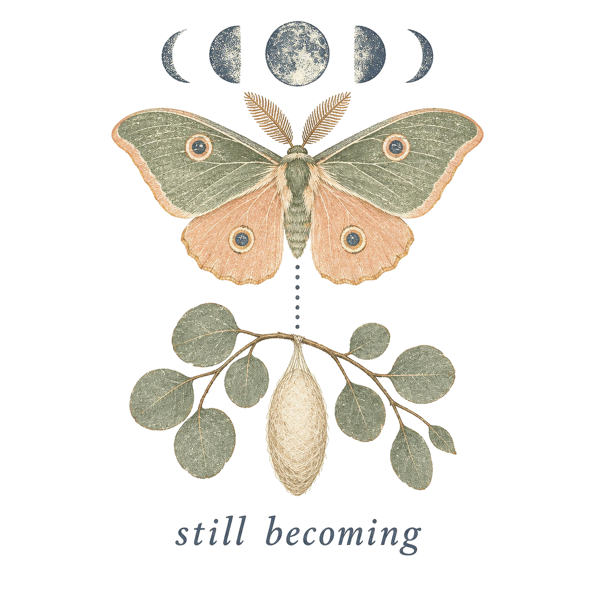 Still Becoming design: moon phases, moth and hanging cocoon